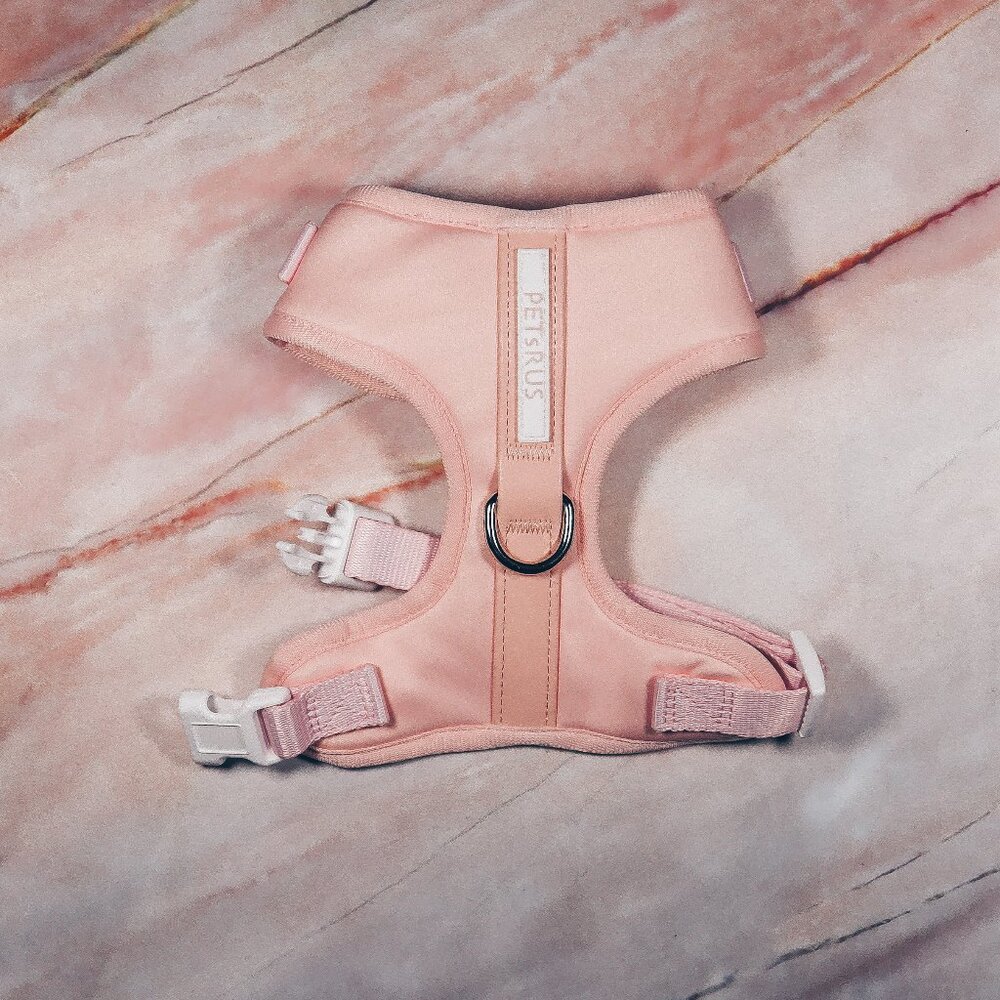 PETsRUS Premium No Pull Dog Harness 2 Leash Clips Baby Pink Leather Neoprene